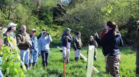 Riparian Tree Planting in Western Pennsylvania