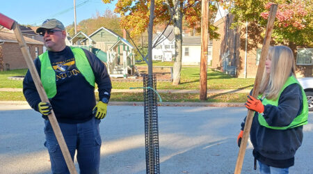 Tree Planting in Verona