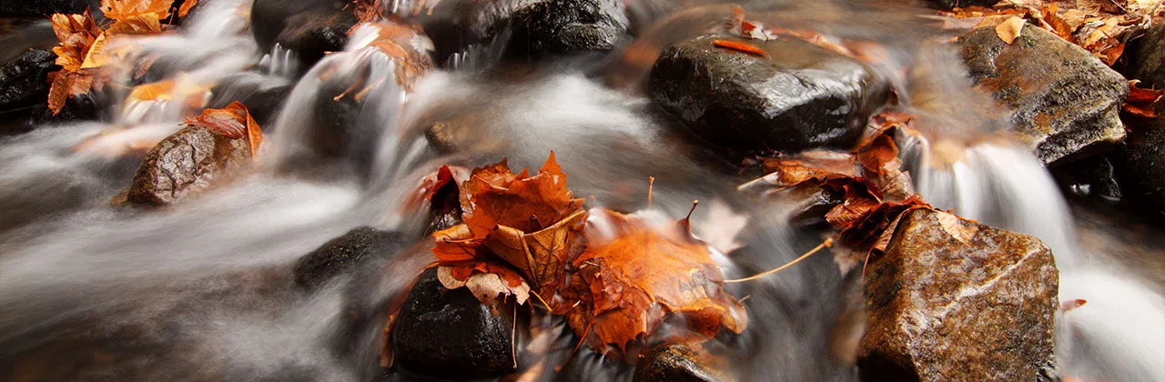 Bear Run Nature Reserve Bear Run Nature Reserve