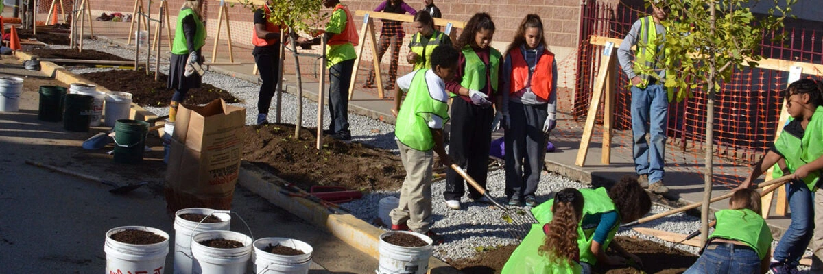 Volunteers planting trees Volunteers planting trees