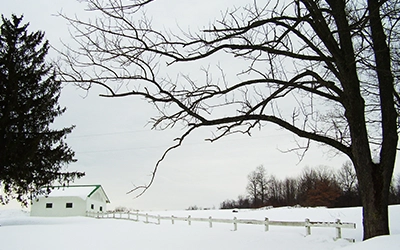 Preserves in the fall