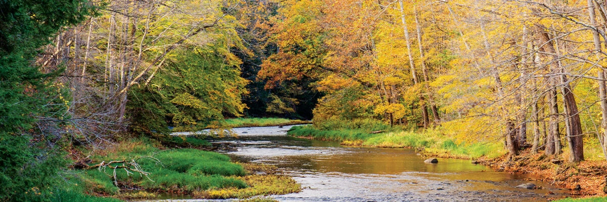 Allegheny River Allegheny River