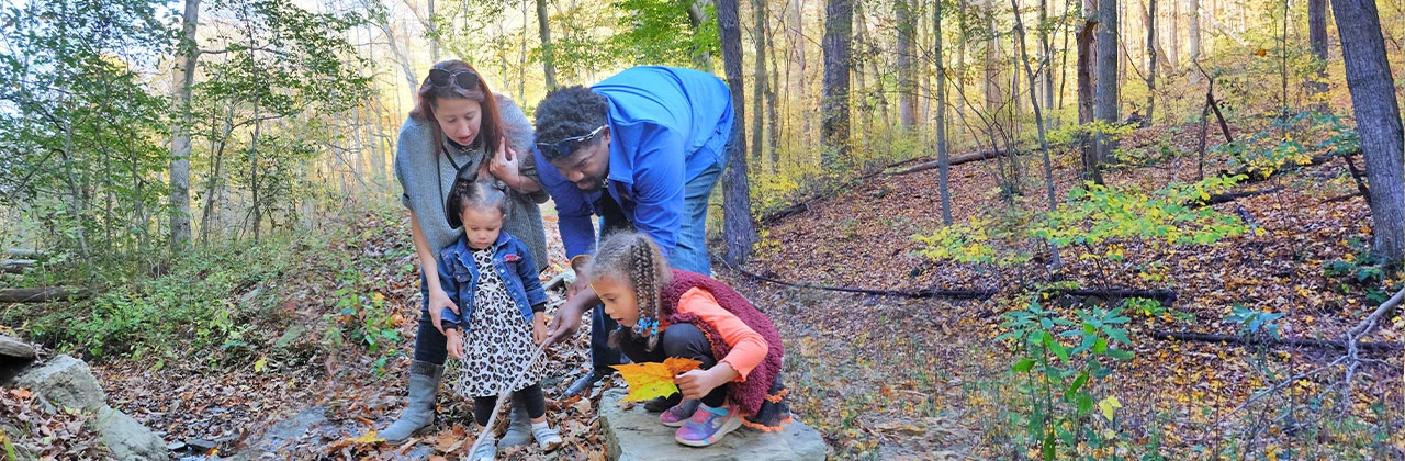 A family exploring Toms Run Nature Reserve A family exploring Toms Run Nature Reserve