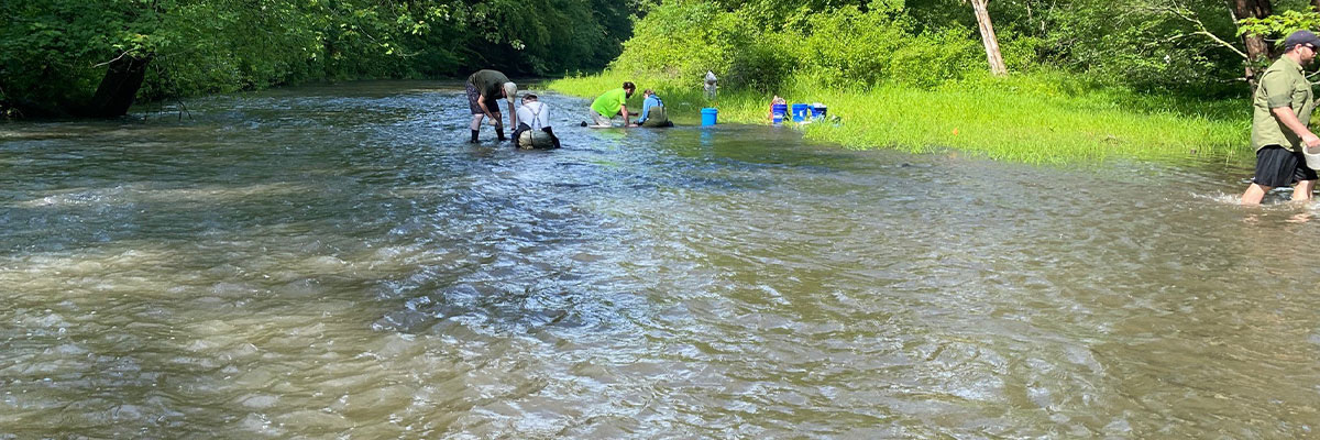 Watershed Conservation