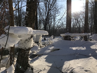 WPC ice sculptures Katz 400x300