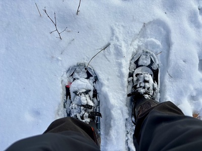 snowshoes