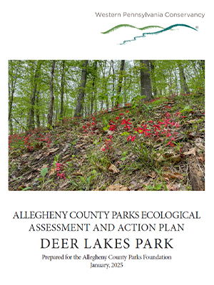Deer Lakes Park Ecological Assessment