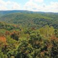 WPC Protects Forestland in Fayette County for Forbes State Forest shown by a drone