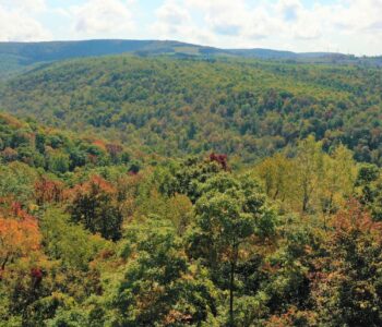 WPC Protects Forestland in Fayette County for Forbes State Forest shown by a drone