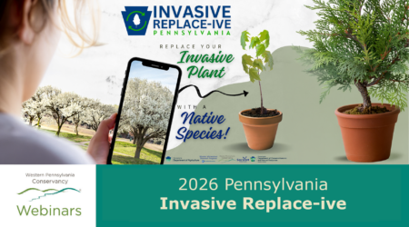 Native Replace-ive webinar