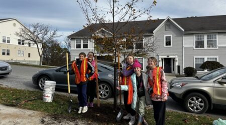 Young volunteers near a newly planted tree