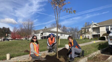 WPC_Hollidaysburg_TreePlanting_2025-800x450