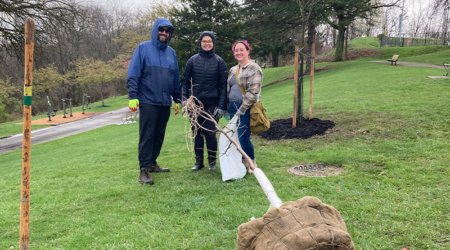 Buhl Park tree planting