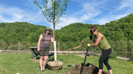 Ford City Tree Planting