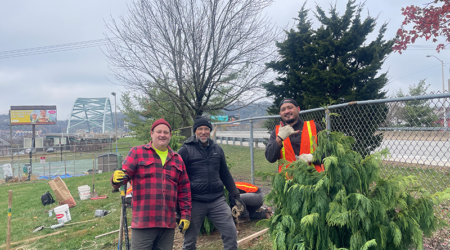 South Side Tree Planting with volunteers