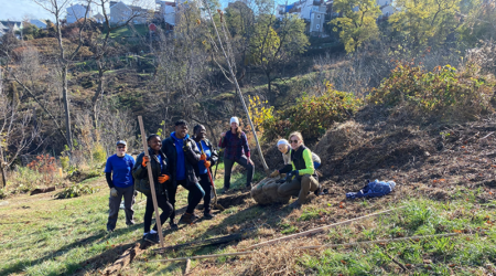 South Side Park Tree Plantings