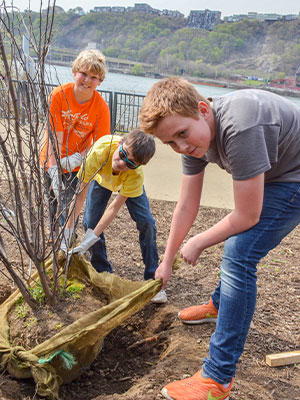 Tree planting volunteers