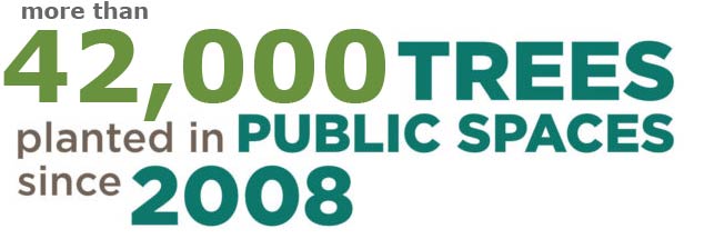 more than 42,00 trees plantied in public spaces since 2008