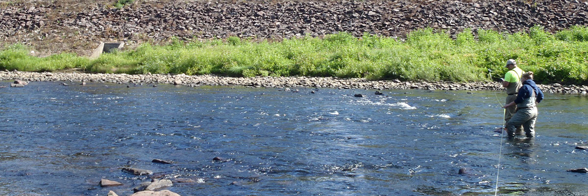 water-conservation-team-1600x400 Watershed Conservation - Laurel Hill EDNA