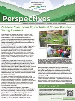 2026 Perspectives Newsletter 
