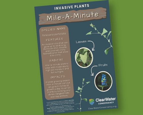 ClearWater Conservancy