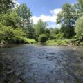 West Branch French Creek summer