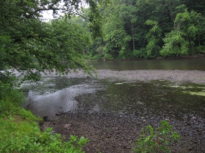 French Creek at Venango Riffle 
