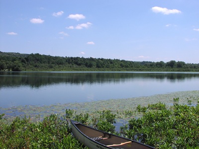 Lake Pleasant during summer