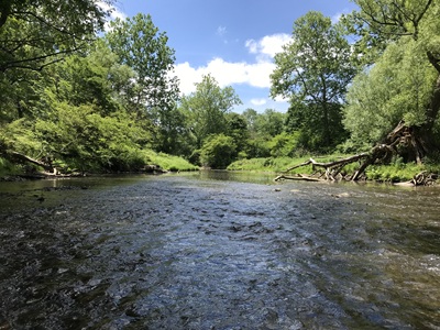 West Branch French Creek