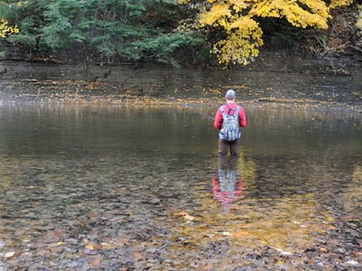 Person fishing on Lower Elk Creek