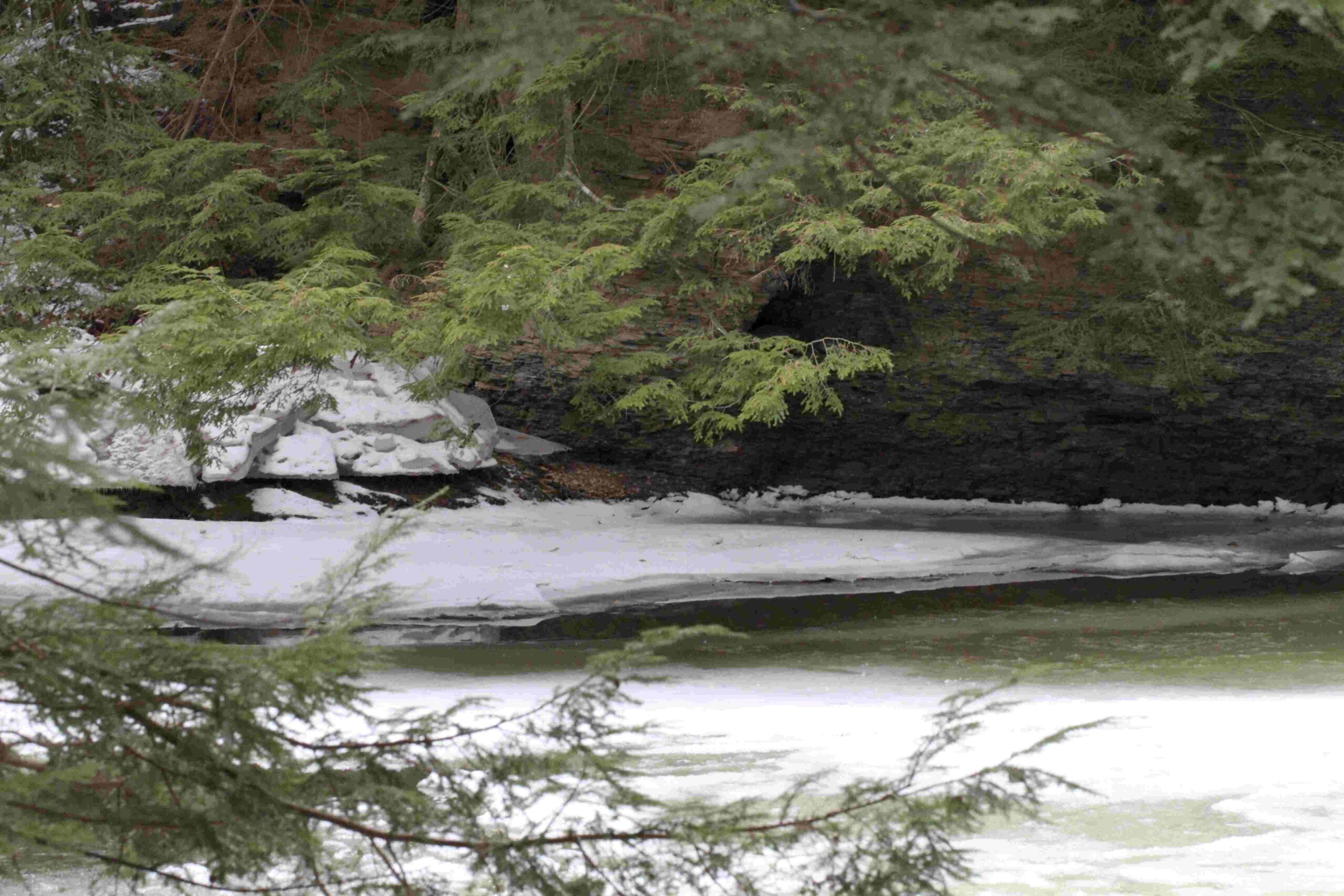 This photo at the Conservancy’s Wolf Creek Narrows Natural Area in Butler County is among the many beautiful scenes Dan Nydick captured as a volunteer nature photographer.