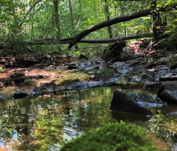 Mountain stream protected in Westmoreland County