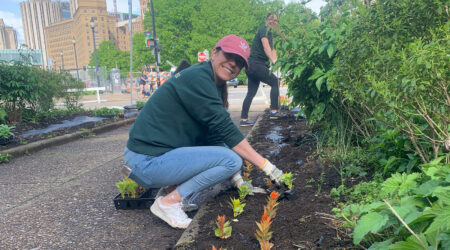 Carnegie Museum garden planting