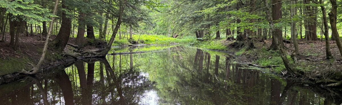 south-branch-french-creek-1200x400