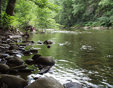 Watershed Conservation winter on the river
