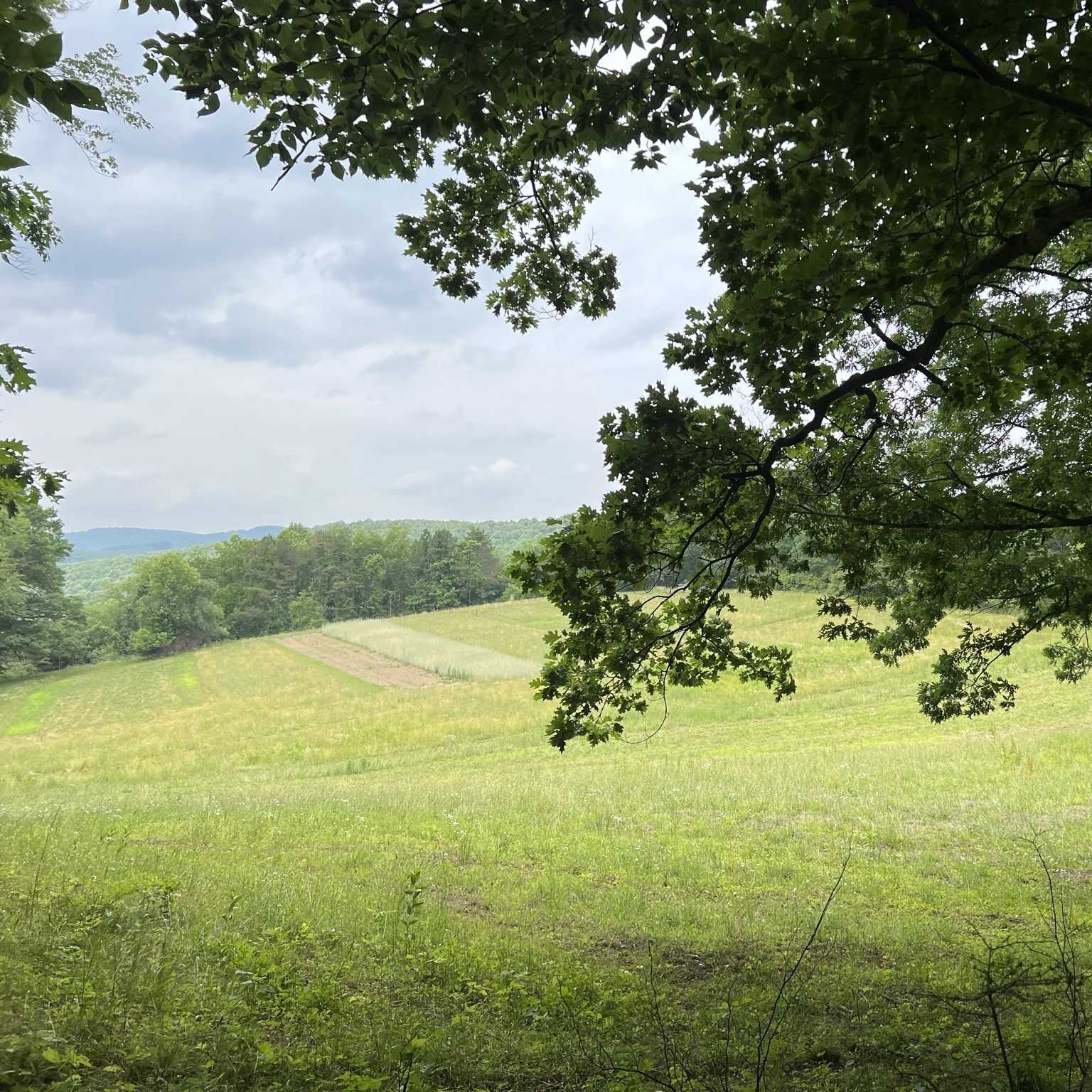 Conservation Easement Protects More Farmland and Forestland in Westmoreland County
