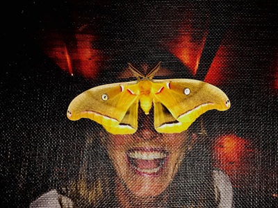 Smiling woman looks at a large yellow moth up close through a screen door. It looks as if she is wearing a moth-shaped mask.