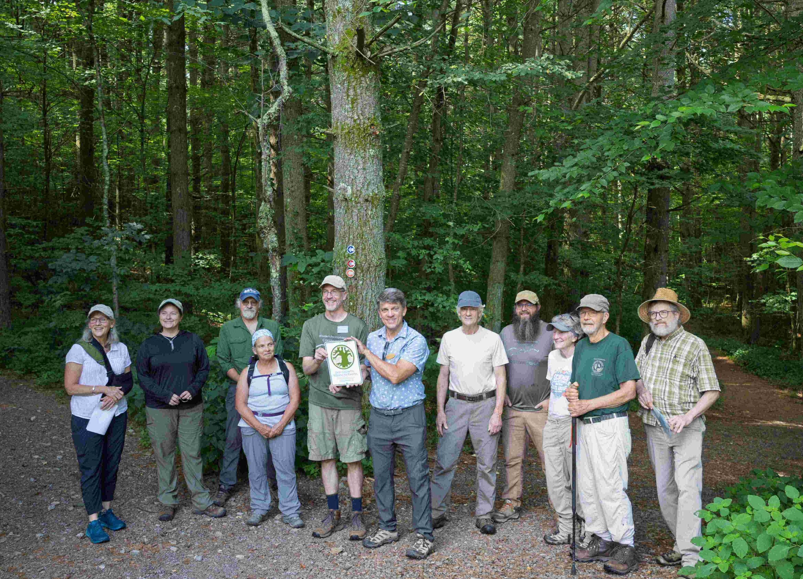 WPC's Bear Run Nature Reserve Has an Old Growth Forest