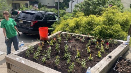 Smiling person stands near a raised garden bed featuring flowers.