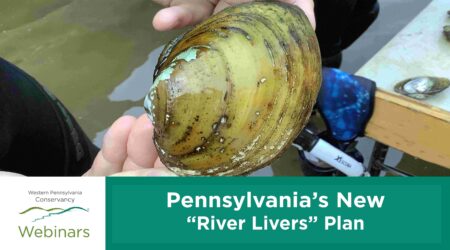 Webinar: PA's New “River Livers” Plan