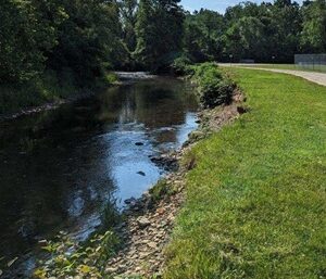 South Branch French Creek in Union City, Pa.