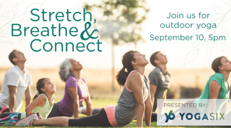 Stretch, Breathe and Connect