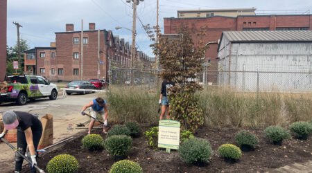 Volunteers at community garden