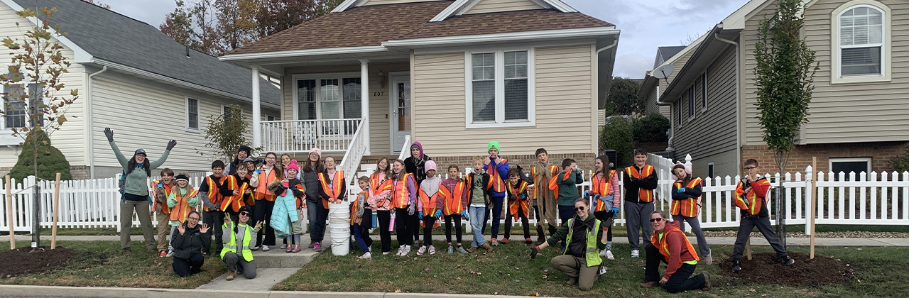 Tree planting with volunteers