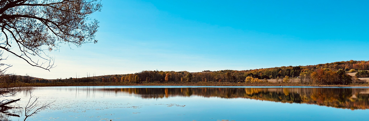 Preserves in fall on water