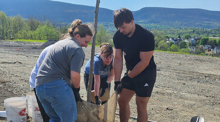 Tree planting
